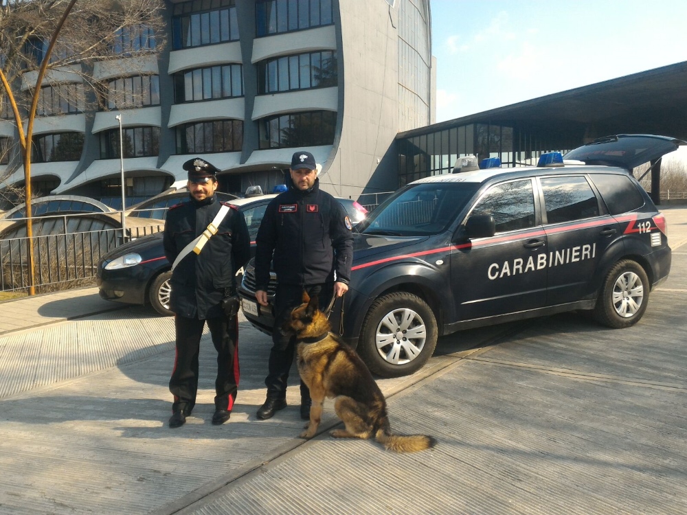 CC Castellanza con i cani