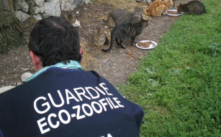 Guardie eco zoofile