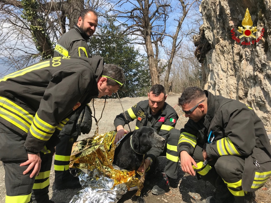 final 46