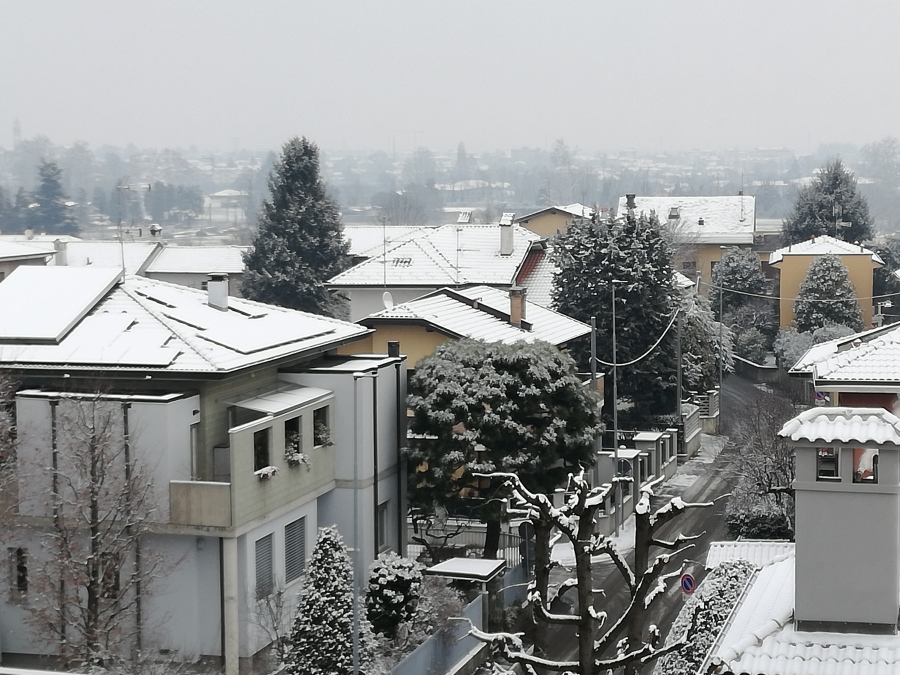 neve Canegrate
