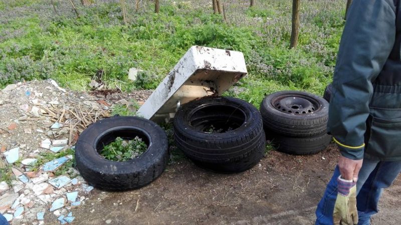 alcune gomme abbandonate rinvenute alla muffa