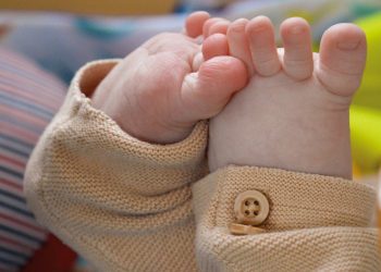 Feto abbandonato in un cestino della spazzatura alle porte di Vigevano