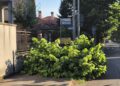 Marciapiedi impraticabili e pista ciclabile ostruita. Questa è la cura del territorio a San Giorgio su Legnano?