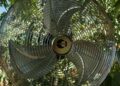 Contro le ondate di calore si aprono i “rifugi climatici”