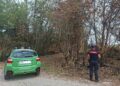 Incendio in un bosco a Motta Visconti: quando è l’imprudenza delle persone a causare il peggio
