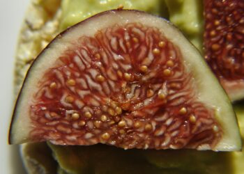 Brüsela cui fich: la ricetta contadina che profuma d’autunno