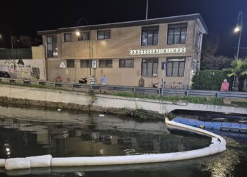 Una grande macchia nera di gasolio minaccia il Naviglio Grande