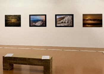 Marx era ambientalista? Arriva il secondo appuntamento di “Natura Mater” a Palazzo Leone da Perego a Legnano